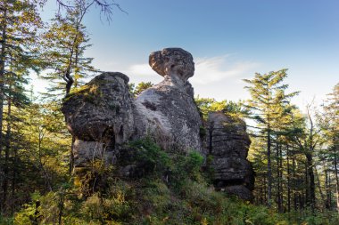 Rock fosillerini, Amur Pillars.