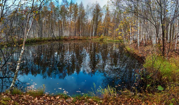 Ottobre nella foresta sul lago — Foto Stock