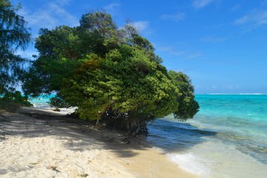 Saipan tropikal Adası.