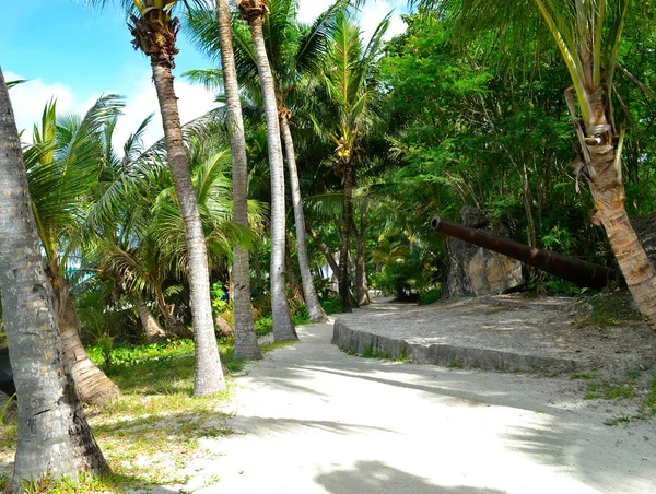 Artillerie restante de la Seconde Guerre mondiale sur l'île de Saipan . — Photo