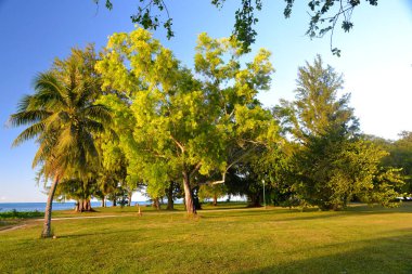  Saipan Adası kıyısında akşam. 