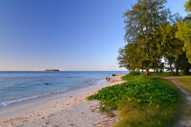 Saipan Banzai Cliff.
