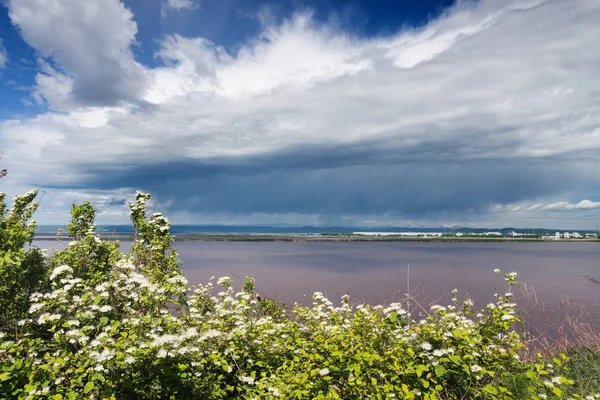 stock image Nice summer day on the Amur River.