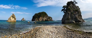 Cape Pine Bay Japon Gorshkov üzerinde.