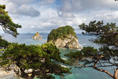 Cape Pine Bay Japon Gorshkov üzerinde.