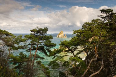  Cape Pine Bay Japon Gorshkov üzerinde. 
