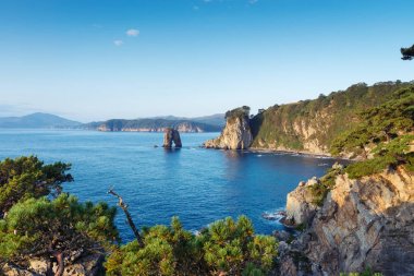 Cape Pine Bay Japon Gorshkov üzerinde.