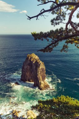 Cape Pine Bay Japon Gorshkov üzerinde.