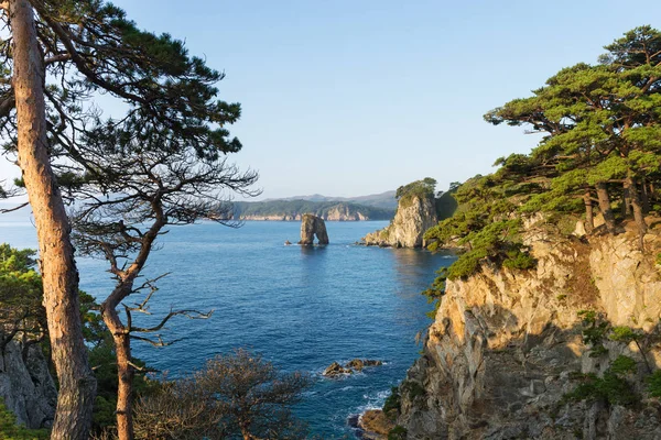 Rus Uzak Doğu Yarımadası Gamova adlı.