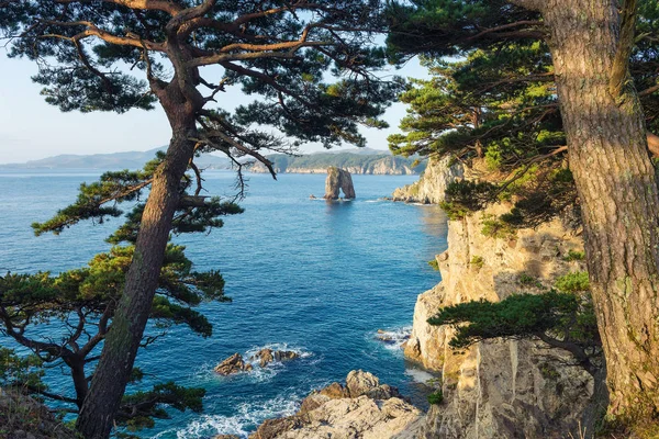 Cape Pine Bay Japon Gorshkov üzerinde.