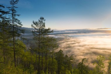 Mountain River Vadisi Amgun. Khabarovsk Krai Rusça 