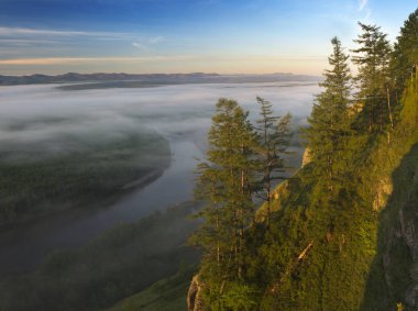 Mountain River Vadisi Amgun. Khabarovsk Krai Rusça 