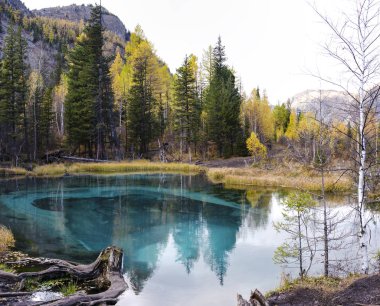 Akash köyü yakınlarında güzel bir termal göl. Gayzer. Altai. 