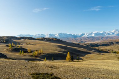  Akash, Altai Cumhuriyeti, Ulagan, River, Chuya, Valley, Güz,