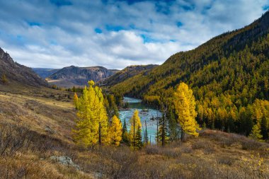 Güzel Chuya Nehri Vadisi, Altai Rusya Cumhuriyeti 'dir. A 