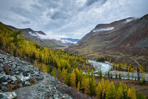 Aktash köyünün yakınındaki Chuya Nehri 'nin güzel vadisi.. 