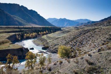 Güzel Chuya Nehri Vadisi, Altai Rusya Cumhuriyeti 'dir. A 