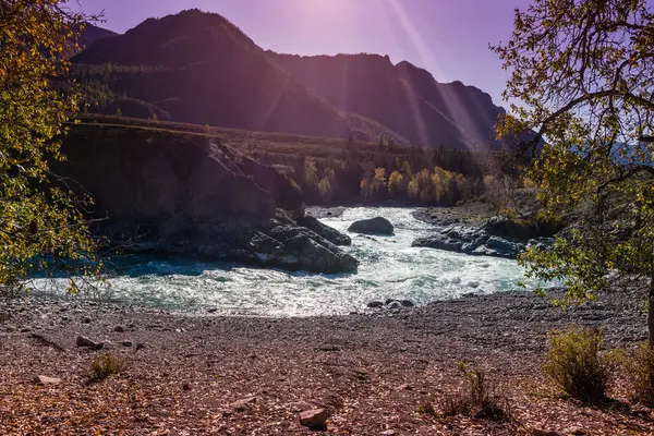 Vacker dal Chuya River Mountain Altai. Berget — Stockfoto