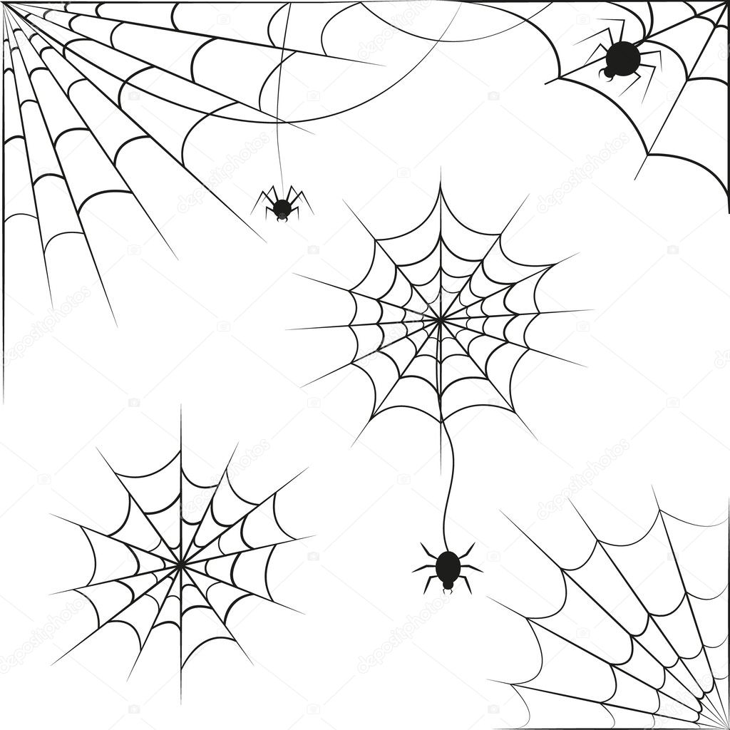 Spider web on white background. Vector