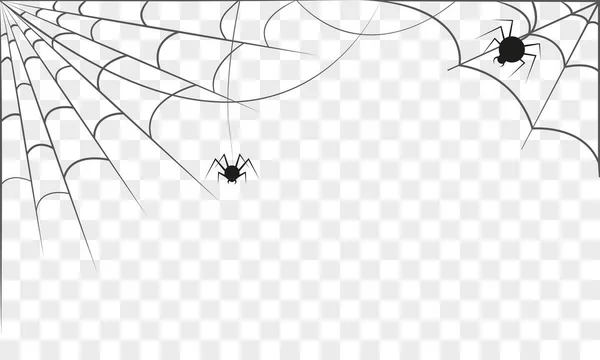 Fundo com duas teias de aranha isoladas. Conceito de Halloween — Vetor de Stock