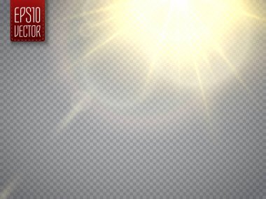 Lens flare ışık etkisi. Güneş ışınları ile izole kirişler. Vektör