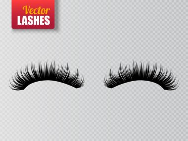 Saydam arka plan üzerinde izole kirpikler. Sahte kirpik ayarlayın. Vektör