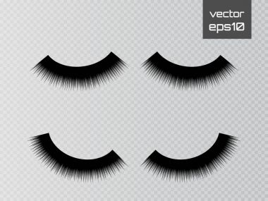 Saydam arka plan üzerinde izole kirpikler. Sahte kirpik ayarlayın. Vektör