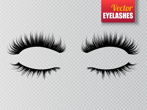 Lashes isolated on transparent background. False eyelashes set. Vector — Stock Vector