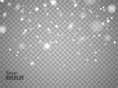 Saydam arka plan üzerinde kar kaplaması. İzole vektör düşen kar taneleri.