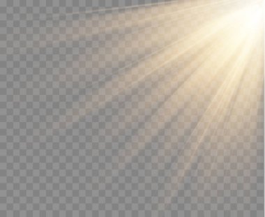 Altın spot ışığı izole edildi. Vektör ışığı