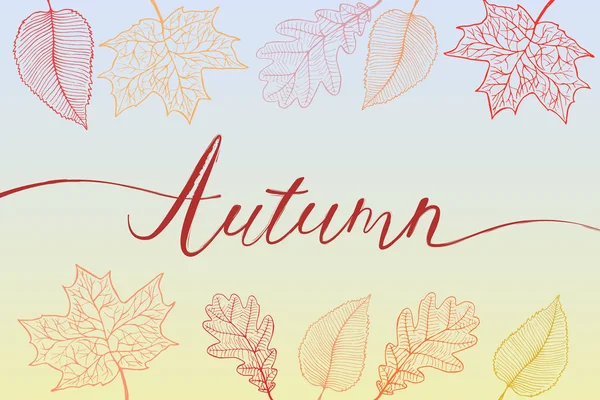 Pinceau d'automne titre écrit à la main avec des feuilles lumineuses colorées — Image vectorielle