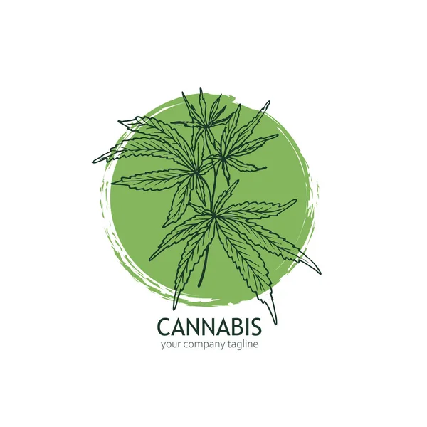 Modelo de logotipo Cannabis. Folhas de cânhamo desenhadas à mão . — Vetor de Stock