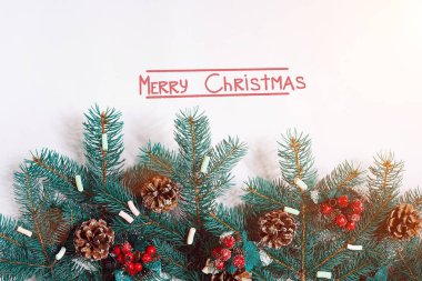 Beyaz arka plan üzerinde izole koniler ile yeşil Noel köknar ağacı dalları. Yazıt - Noel evlenmek