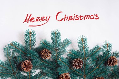 Beyaz arka plan üzerinde izole koniler ile yeşil Noel köknar ağacı dalları. Yazıt - Noel evlenmek