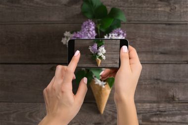 Fotoğrafçı bloglama atölye kavramı. Telefon ve çekici fotoğraf çiçek tutan el.