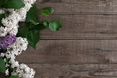 Leylak çiçeği mesaj tebrik için boş alanı rustik ahşap zemin üzerine. Üstten Görünüm