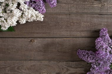 Leylak çiçeği mesaj tebrik için boş alanı rustik ahşap zemin üzerine. Üstten Görünüm