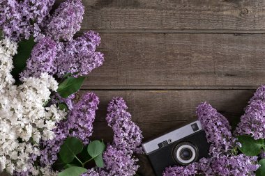 Leylak çiçeği mesaj tebrik için boş alanı rustik ahşap zemin üzerine. Eski bir kamera. Üstten Görünüm