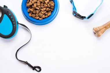 Yaka, mavi kase besleme, kira kontratı ve incelik köpekler için. Beyaz arka plan üzerinde izole