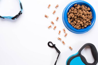 Yaka, mavi kase besleme, kira kontratı ve incelik köpekler için. Beyaz arka plan üzerinde izole