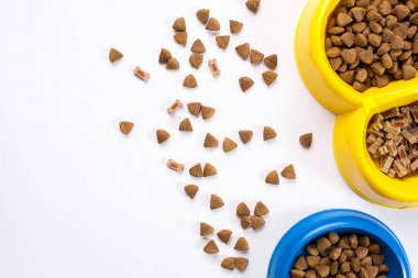 Beyaz arka plan üstten görünüm üzerinde kase kuru evde beslenen hayvan yiyecek