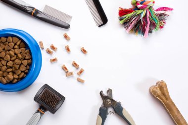 Yaka, besleme, kira kontratı, incelik, mavi kaseyle tarak ve köpekler için fırçalar. Beyaz arka plan üzerinde izole
