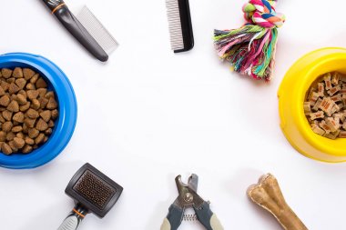 Yaka, besleme, kira kontratı, incelik, mavi kaseyle tarak ve köpekler için fırçalar. Beyaz arka plan üzerinde izole