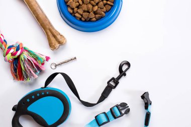 Yaka, mavi kase besleme, kira kontratı ve incelik köpekler için. Beyaz arka plan üzerinde izole