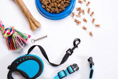 Yaka, mavi kase besleme, kira kontratı ve incelik köpekler için. Beyaz arka plan üzerinde izole