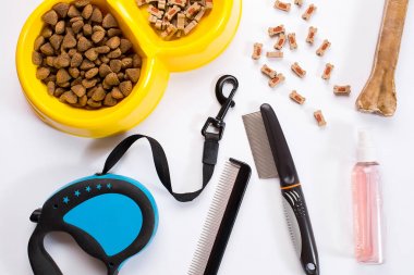 Yaka, kase besleme, kira kontratı, incelik, tarak ve köpekler için fırçalar. Beyaz arka plan üzerinde izole