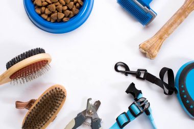 Yaka, kase besleme, kira kontratı, incelik, tarak ve köpekler için fırçalar. Beyaz arka plan üzerinde izole