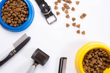 Yaka, kase besleme, kira kontratı, incelik, tarak ve köpekler için fırçalar. Beyaz arka plan üzerinde izole