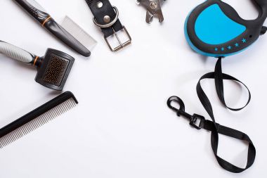 Yaka, kira kontratı, incelik, tarak ve köpekler için fırçalar. Beyaz arka plan üzerinde izole