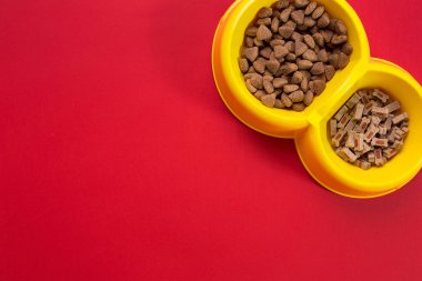 kase kırmızı arka plan üstten görünüm üzerinde kuru evde beslenen hayvan yiyecek